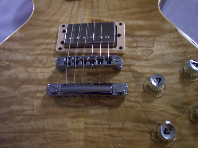 Bluesbird Picture 14